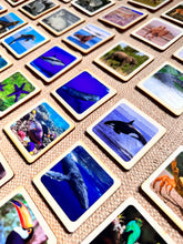 Load image into Gallery viewer, 50 Flash Cards Montessori - Waldorf - Reggio Learning Toy
