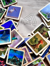 Load image into Gallery viewer, 50 Flash Cards Montessori - Waldorf - Reggio Learning Toy