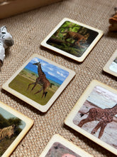 Load image into Gallery viewer, 50 Flash Cards Montessori - Waldorf - Reggio Learning Toy