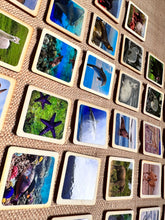 Load image into Gallery viewer, 50 Flash Cards Montessori - Waldorf - Reggio Learning Toy