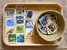 Load image into Gallery viewer, 50 Flash Cards Montessori - Waldorf - Reggio Learning Toy