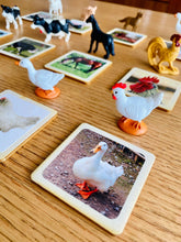 Load image into Gallery viewer, Miniature Farm Animals with Matching Cards - 2 Part Cards