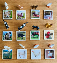 Load image into Gallery viewer, Miniature Farm Animals with Matching Cards - 2 Part Cards