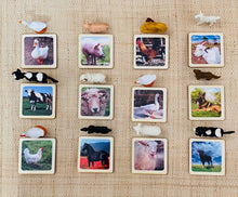 Load image into Gallery viewer, Miniature Farm Animals with Matching Cards - 2 Part Cards