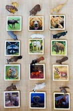 Load image into Gallery viewer, Montessori North American Wildlife Animal Matching Game for Preschoolers