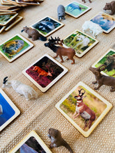 Load image into Gallery viewer, Montessori North American Wildlife Animal Matching Game for Preschoolers