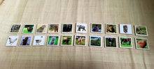 Load image into Gallery viewer, 50 Flash Cards Montessori - Waldorf - Reggio Learning Toy