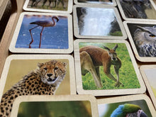 Load image into Gallery viewer, 50 Flash Cards Montessori - Waldorf - Reggio Learning Toy