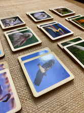 Load image into Gallery viewer, Match a Pair of Birds Wooden Memory Game