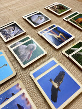 Load image into Gallery viewer, Match a Pair of Birds Wooden Memory Game