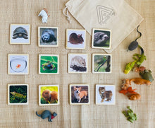 Load image into Gallery viewer, House Pets Animal Matching Game - 2 Part Cards with Safari Ltd