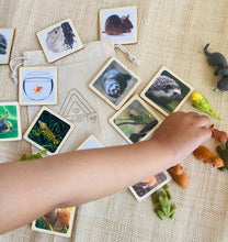 Load image into Gallery viewer, House Pets Animal Matching Game - 2 Part Cards with Safari Ltd