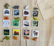 Load image into Gallery viewer, House Pets Animal Matching Game - 2 Part Cards with Safari Ltd