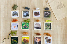 Load image into Gallery viewer, House Pets Animal Matching Game - 2 Part Cards with Safari Ltd