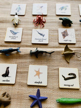 Load image into Gallery viewer, Montessori and Waldorf learning Sea life Animals