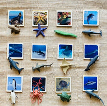Load image into Gallery viewer, Montessori learning Sea life Animals - Realistic Cards