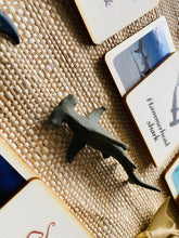 Load image into Gallery viewer, 3 - Parts Montessori Ocean Animals Matching Game