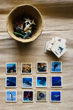 Load image into Gallery viewer, 3 - Parts Montessori Ocean Animals Matching Game