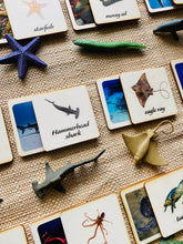 Load image into Gallery viewer, 3 - Parts Montessori Ocean Animals Matching Game