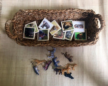 Load image into Gallery viewer, Montessori Zoo Animal Matching Game for Toddlers