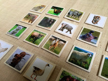 Load image into Gallery viewer, Realistic Wild & Farm Animal Flashcards for Toddlers- 30 Piece Set