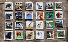 Load image into Gallery viewer, Realistic Wild & Farm Animal Flashcards for Toddlers- 30 Piece Set