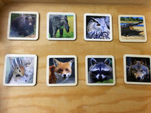 Load image into Gallery viewer, Montessori Wild and Farm Animals Wooden Flash Cards - 13 Piece Set Mixed