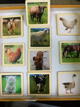 Load image into Gallery viewer, Montessori Wild and Farm Animals Wooden Flash Cards - 13 Piece Set Mixed