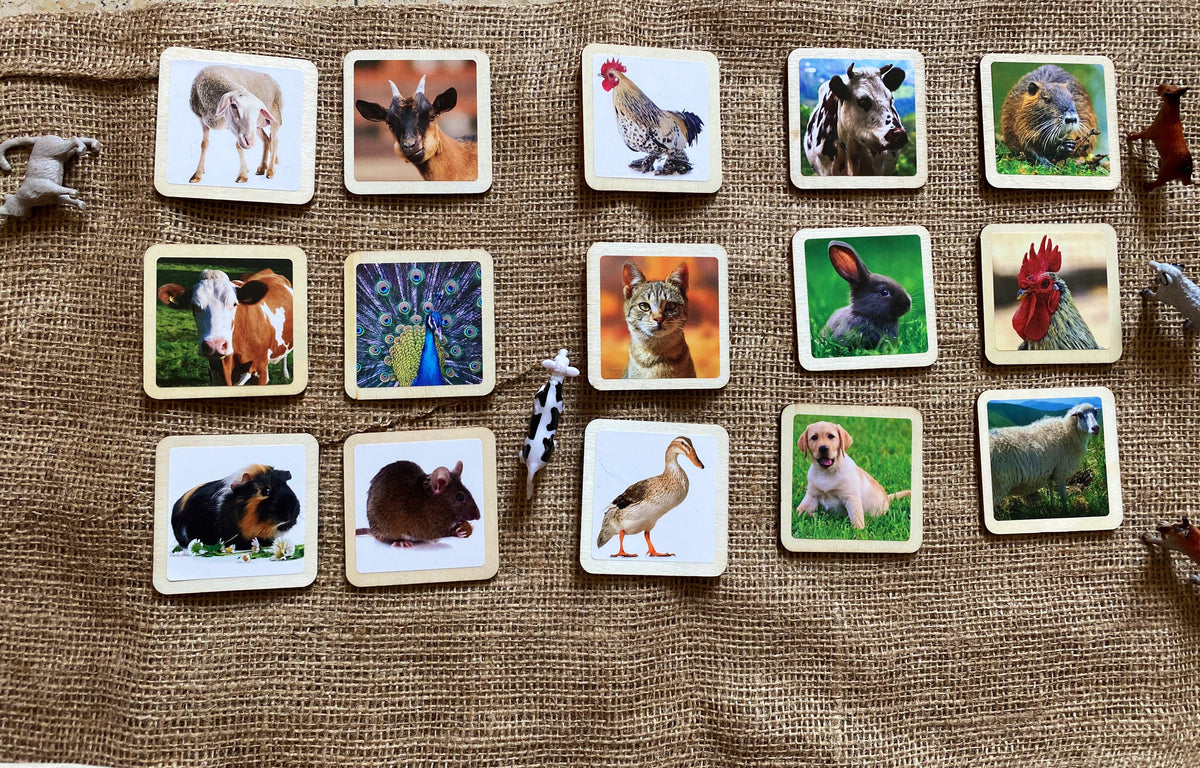 Montessori Wild and Farm Animals Wooden Flash Cards - 13 Piece Set Mix ...