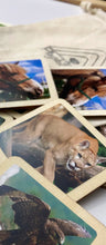 Load image into Gallery viewer, Montessori and Waldorf Inspired Animal Matching and Memory Game