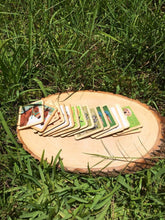 Load image into Gallery viewer, Montessori Wooden Animals Match & Memory Game - 16 Piece Set