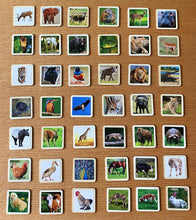 Load image into Gallery viewer, Realistic Wild & Farm Animal Flashcards for Toddlers- 30 Piece Set