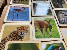 Load image into Gallery viewer, Realistic Wild & Farm Animal Flashcards for Toddlers- 30 Piece Set