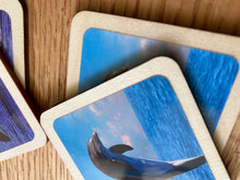 Load image into Gallery viewer, Montessori and Waldorf Inspired Sea Life Animal Matching and Memory Game -  18 Piece Set