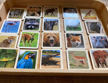 Load image into Gallery viewer, Montessori Wild and Farm Animals Wooden Flash Cards - 13 Piece Set Mixed