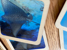 Load image into Gallery viewer, Montessori and Waldorf Inspired Sea Life Animal Matching and Memory Game -  18 Piece Set