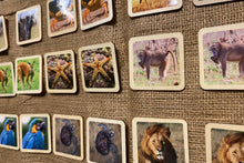 Load image into Gallery viewer, Montessori and Waldorf Inspired Animal Matching and Memory Game - 24 Piece Set