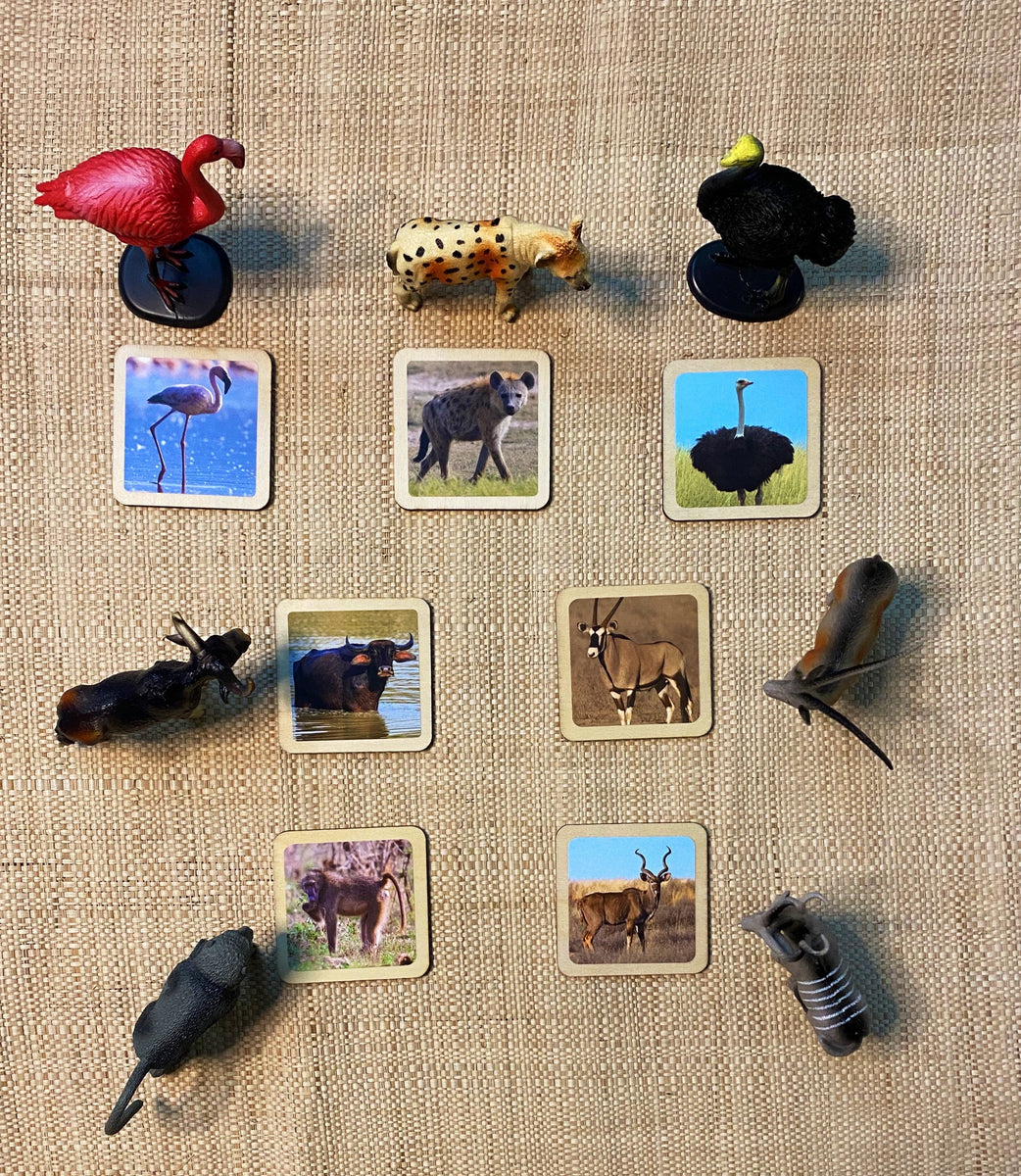 Jungle animals - flash cards | my little set | wooden game | story stones | memory match fashion