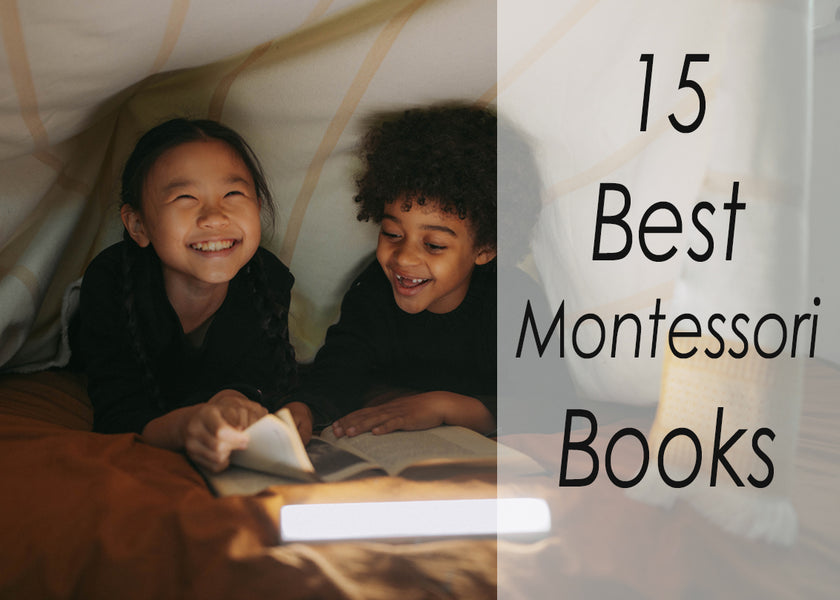 15 Best Montessori Books In 2024