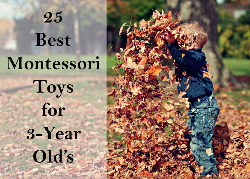 25 Best Montessori Toys for 3-Year-Olds in 2024