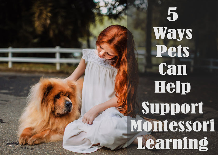 5 Ways Pets Can Help Support Montessori Learning