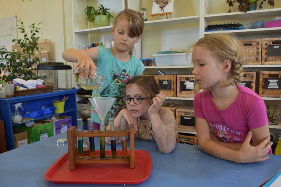 The 15 Best Montessori Science Activities for Preschoolers in 2024