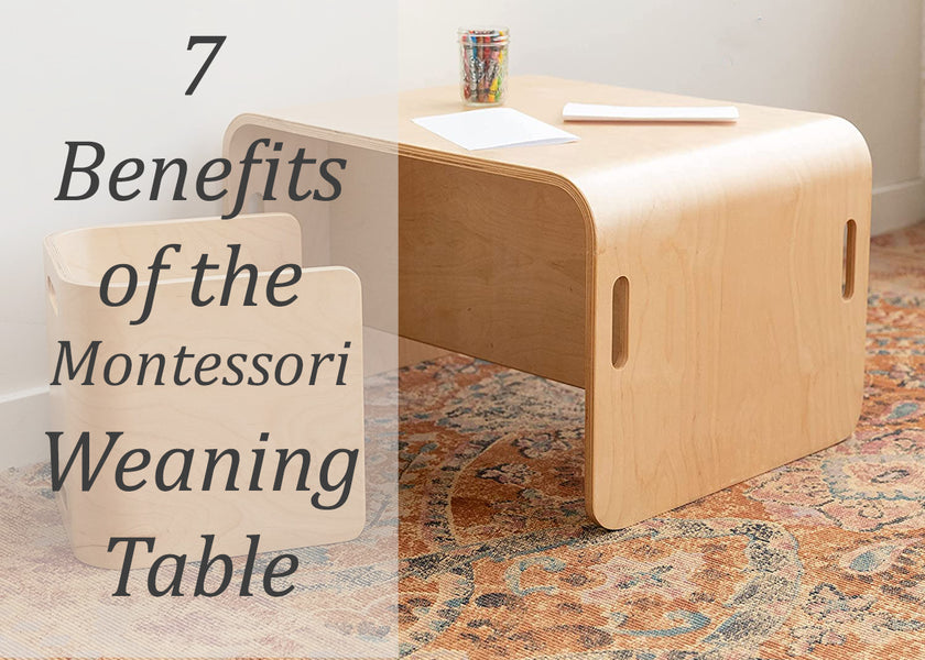 7 Key Benefits of the Montessori Weaning Table