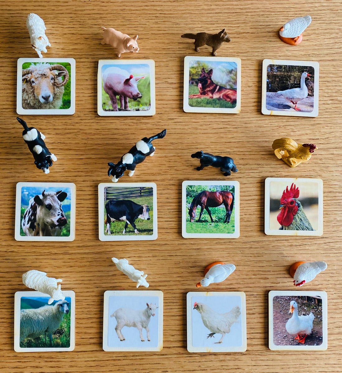 Miniature Farm Animals with Matching Cards - 2 Part Cards – PlaySkillsToys