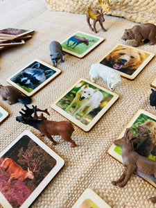 Montessori North American Wildlife Animal Matching Game for Preschoolers