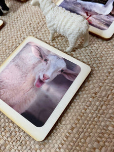 Miniature Farm Animals with Matching Cards - 2 Part Cards
