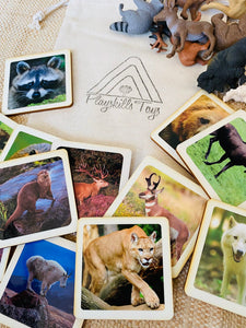 Montessori North American Wildlife Animal Matching Game for Preschoolers