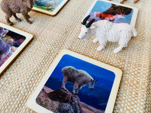 Load image into Gallery viewer, Montessori North American Wildlife Animal Matching Game for Preschoolers
