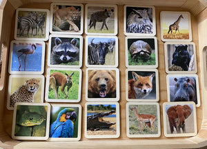 50 Flash Cards Montessori - Waldorf - Reggio Learning Toy