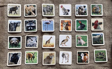 Load image into Gallery viewer, 50 Flash Cards Montessori - Waldorf - Reggio Learning Toy

